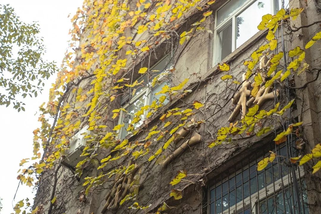 武科大算什么档次,武科大属于什么水平