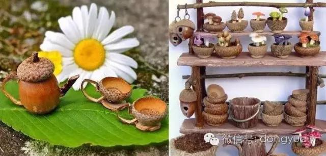 坚果壳艺术品,坚果壳能拿来做什么