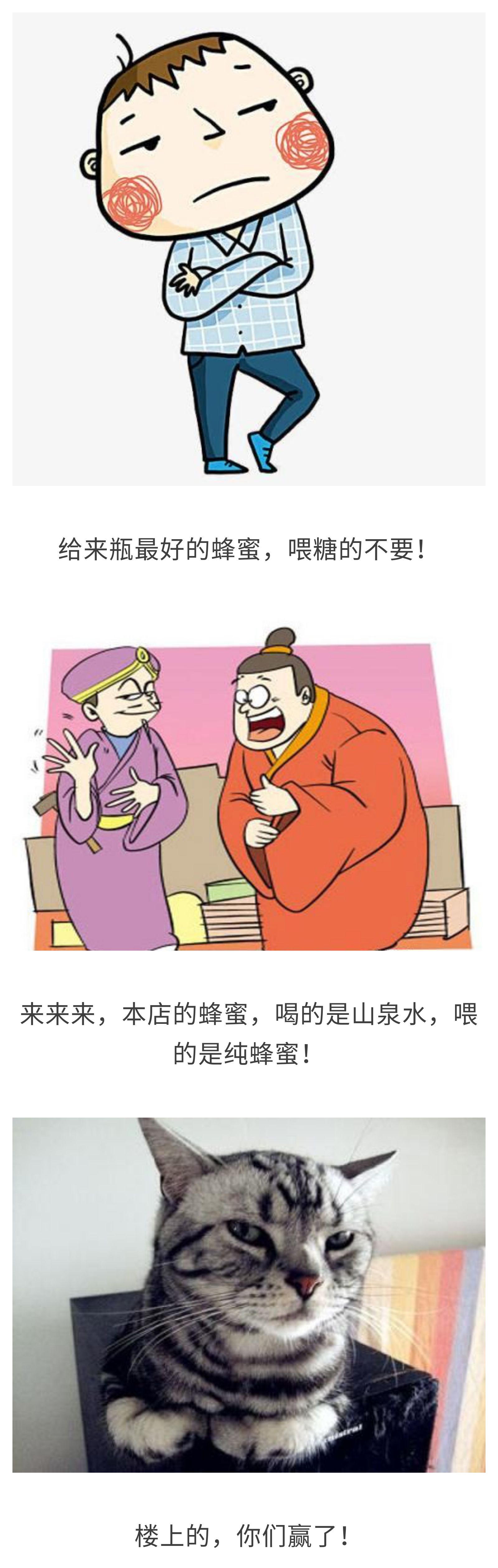 你所深恶痛绝的白糖，竟是小蜜蜂的救命干粮