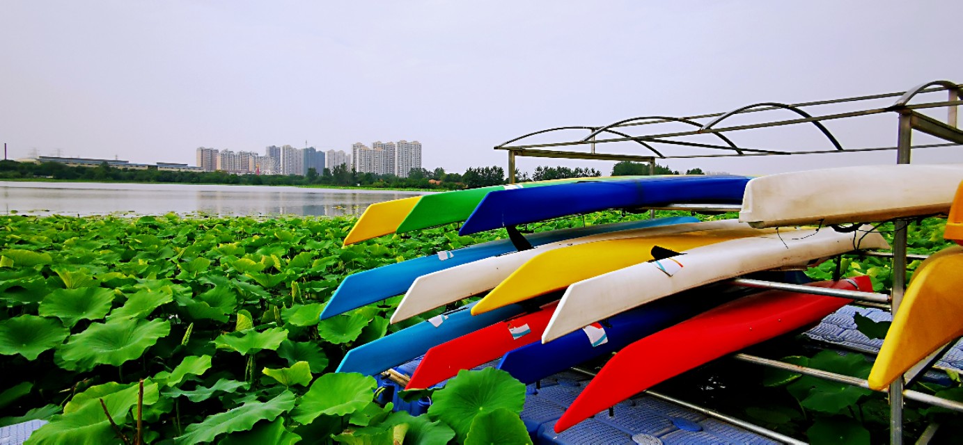 后官湖湿地公园环游,后官湖湿地公园游后感