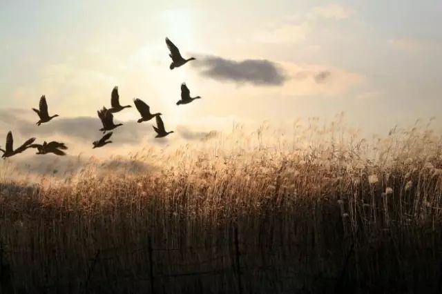 二十七首诗词二十七种人生境界,古诗词中的三种人生境界