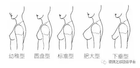 岛国女星G*杯罩**的秘密，原来我们也可以