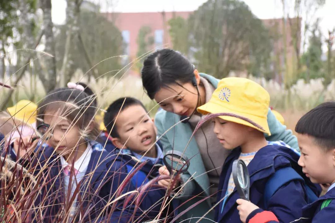 别人家的学校,天府七小和元音小学哪个好