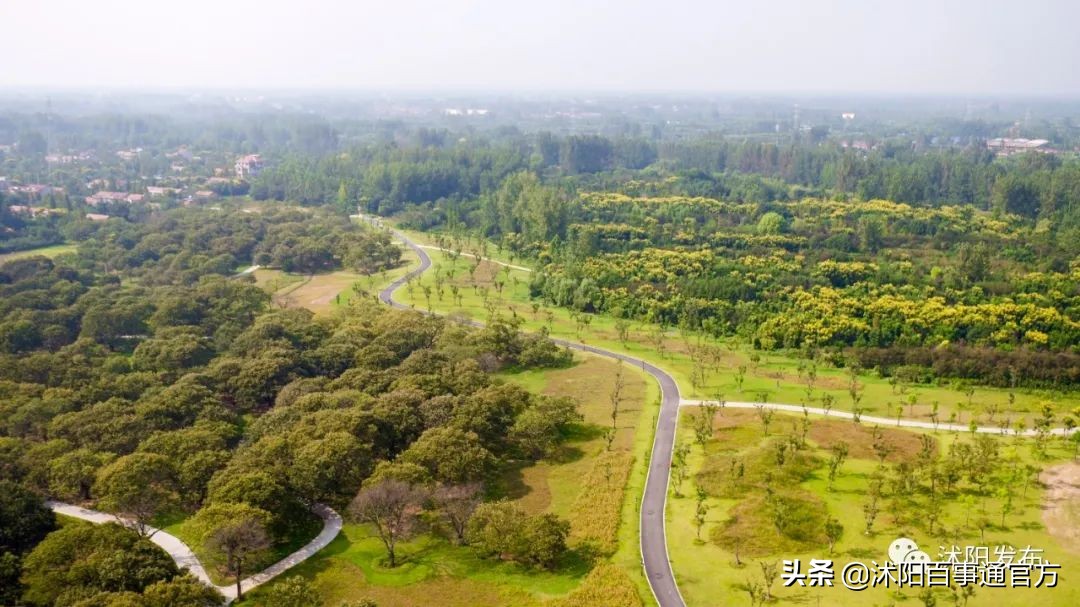 沭阳23个重大项目是哪些,沭阳重点发展的4个城镇