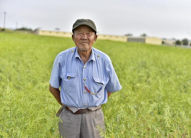 “人老了，儿女不赡养老人怎么办？”4位老人给出4种方法，聪明