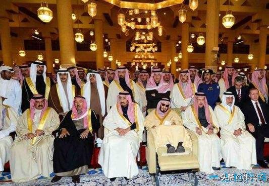 沙特王子是谁,沙特王子都是国王吗