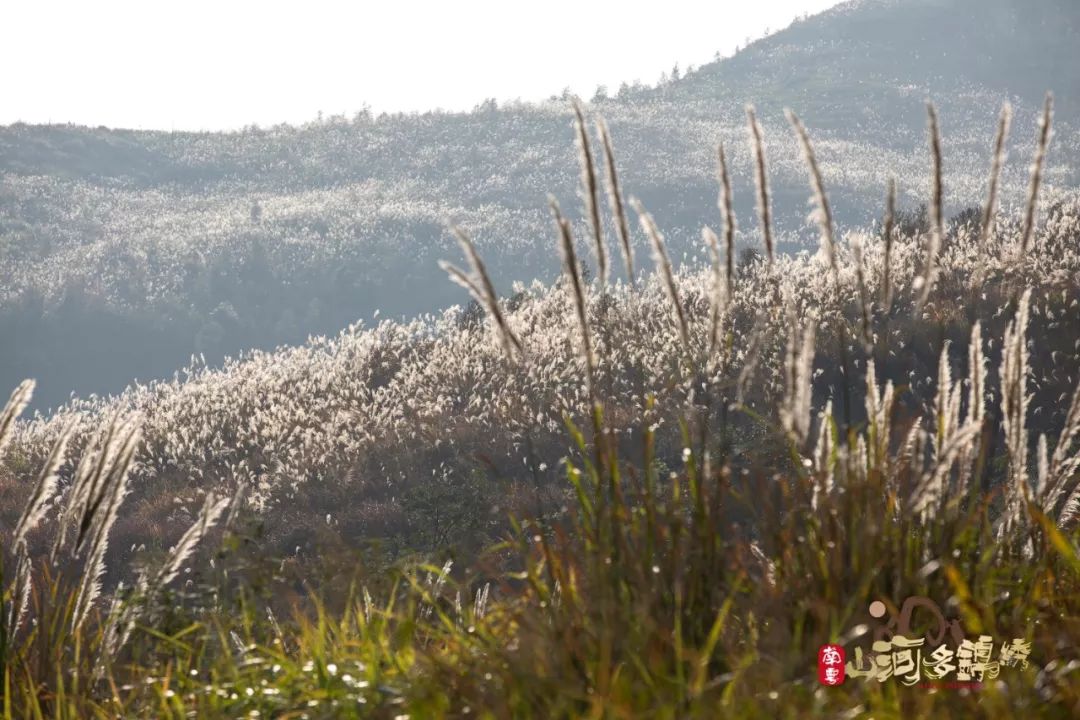 南粤山河多锦绣丨一路向北,在粤北找到最初的广东