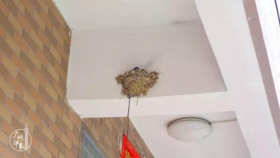 广州隐世峡谷游玩攻略,广州要坐船才能登的小岛