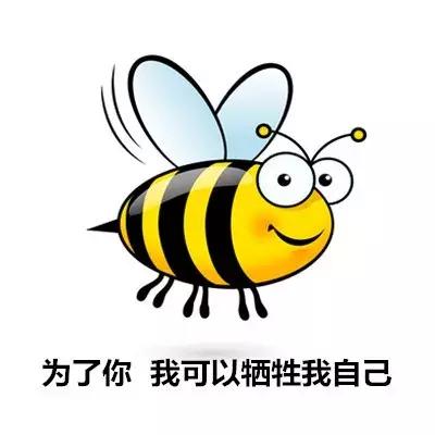 被蚊虫叮咬怎样情况下要就医,如何有效治疗虫叮咬