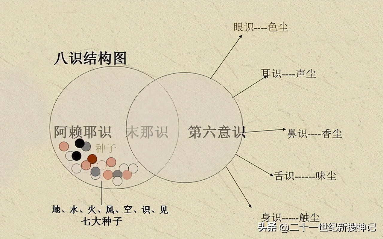 生命之谜第三季第24集,生命之谜最新全部章节在线阅读