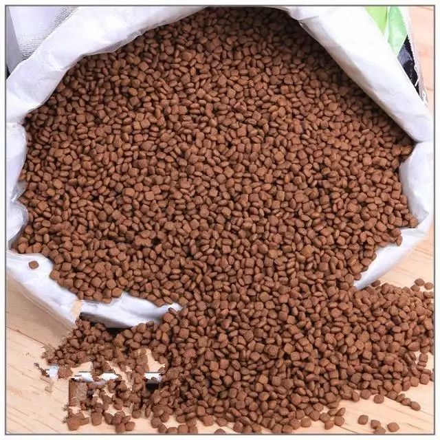 猫咪食物过敏的症状表现是什么,猫咪长期软便的危害