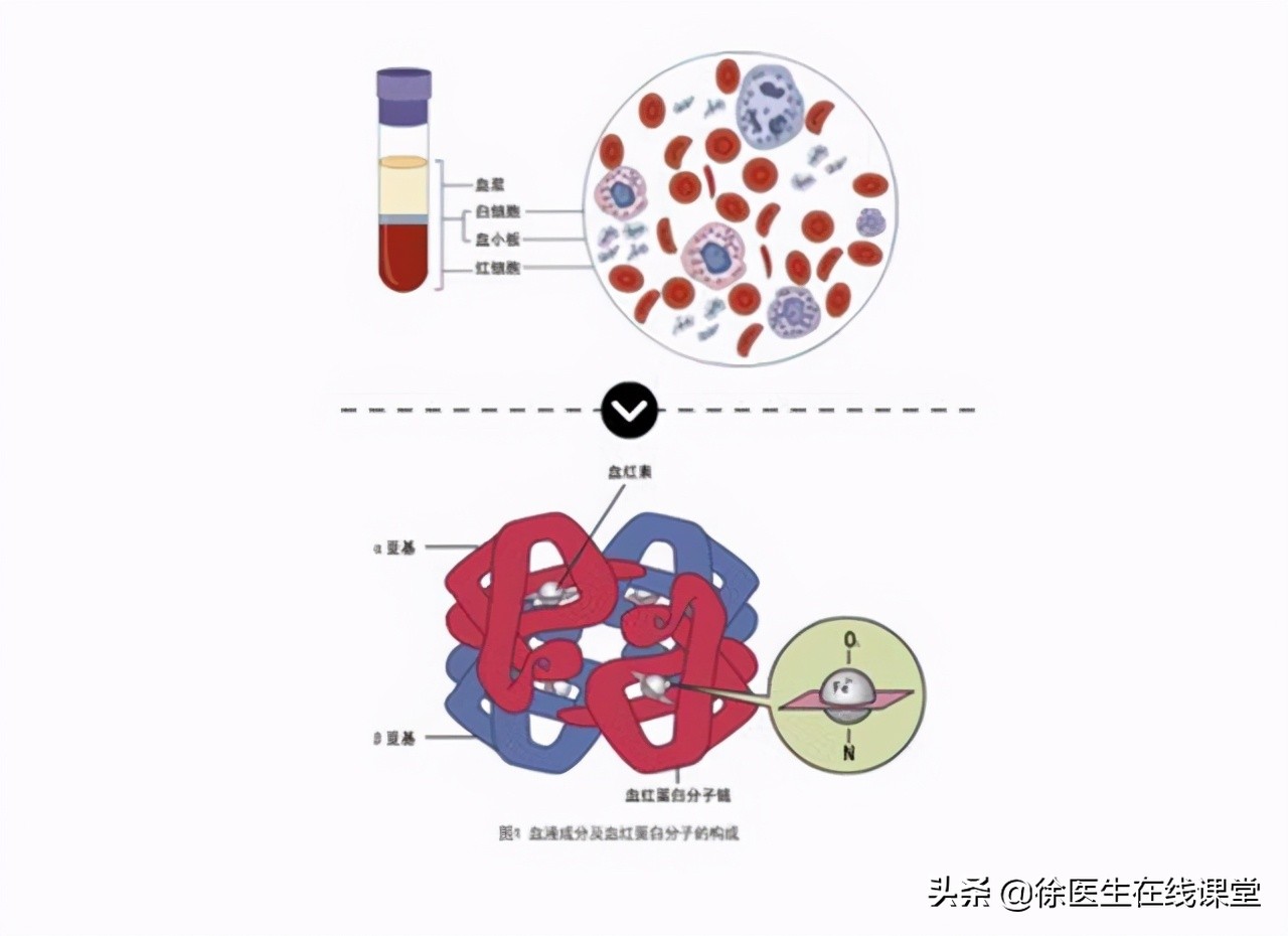 地中海贫血是什么样子,什么是地中海贫血会有什么症状