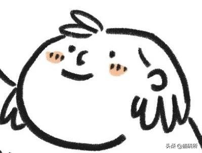 猫砂盆买什么样的最好,猫砂盆选什么的最合适