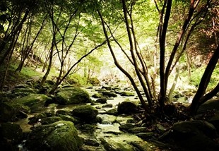 耿峪石门岔徒步,耿峪休闲旅游攻略清明