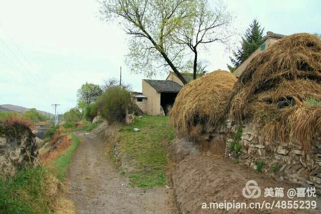 可怕的大火球视频,神秘的大火球