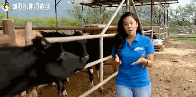 盘点主持人翻车尴尬场面,中央电视台主持人翻车集锦