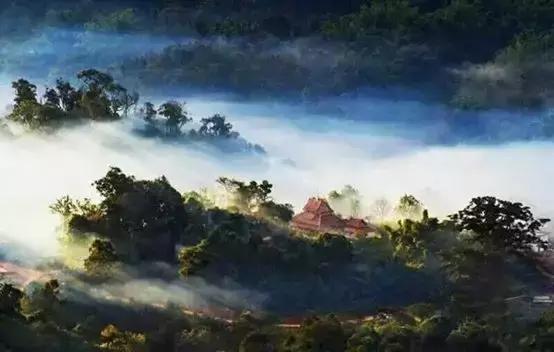 为什么普洱茶放了几年有烟味,为什么普洱茶有烟香味