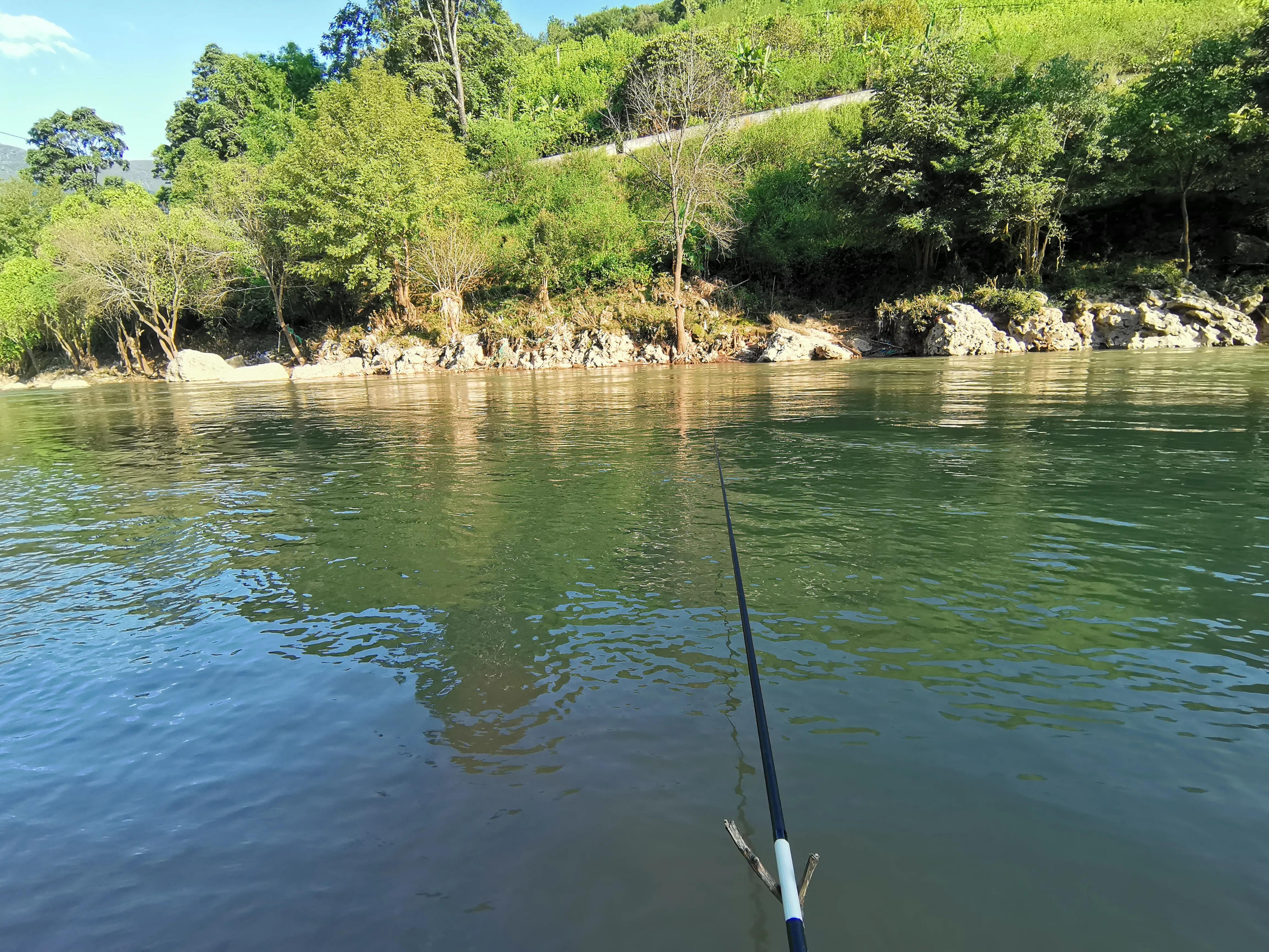 野河休闲钓，手杆绷尖钓法，岸边捡别人的麦子挂钩，最后鲫鱼连杆