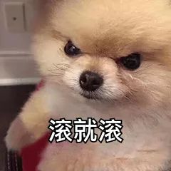 拼多多、刷宝、养猪场？你还被这些app套路，付出智商税吗？