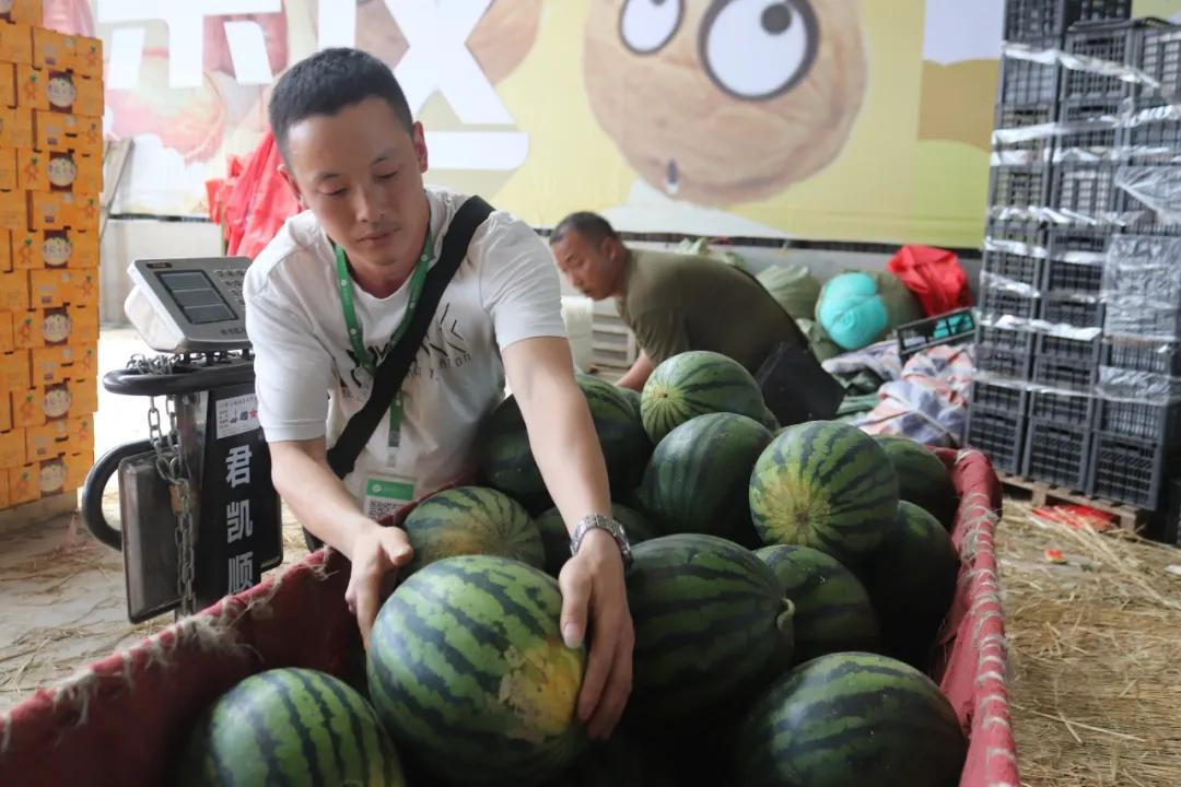 西瓜价格上涨原因,现在西瓜批发价格哪里最便宜