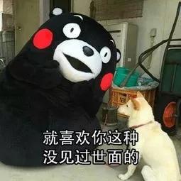 在国外住家保姆能挣多少钱,在加拿大做保姆能挣多少钱