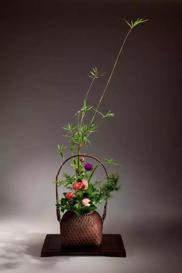 创意禅意插花月季盘花,禅意插花100例兰花