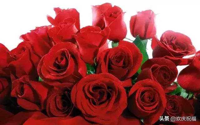 明日七夕，777幸福花送给群里所有的朋友，谁打开，谁幸福