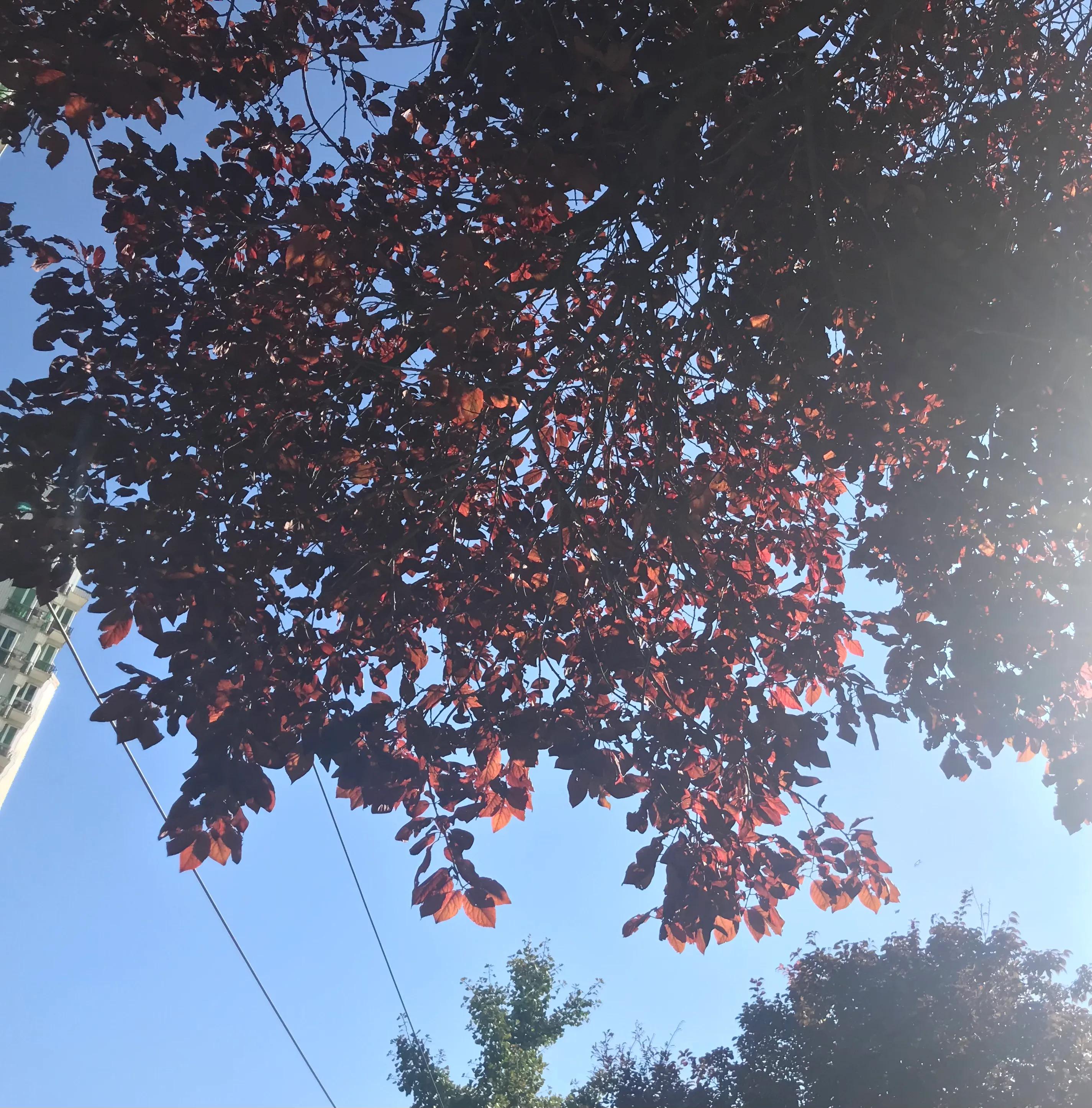 头条标题怎么起能获得高的推荐,头条号文章如何取好标题