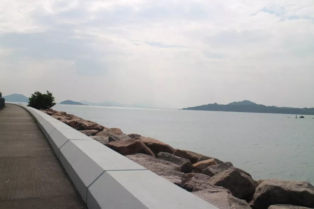 香港迪士尼好莱坞酒店问题,香港迪士尼好莱坞酒店为什么便宜