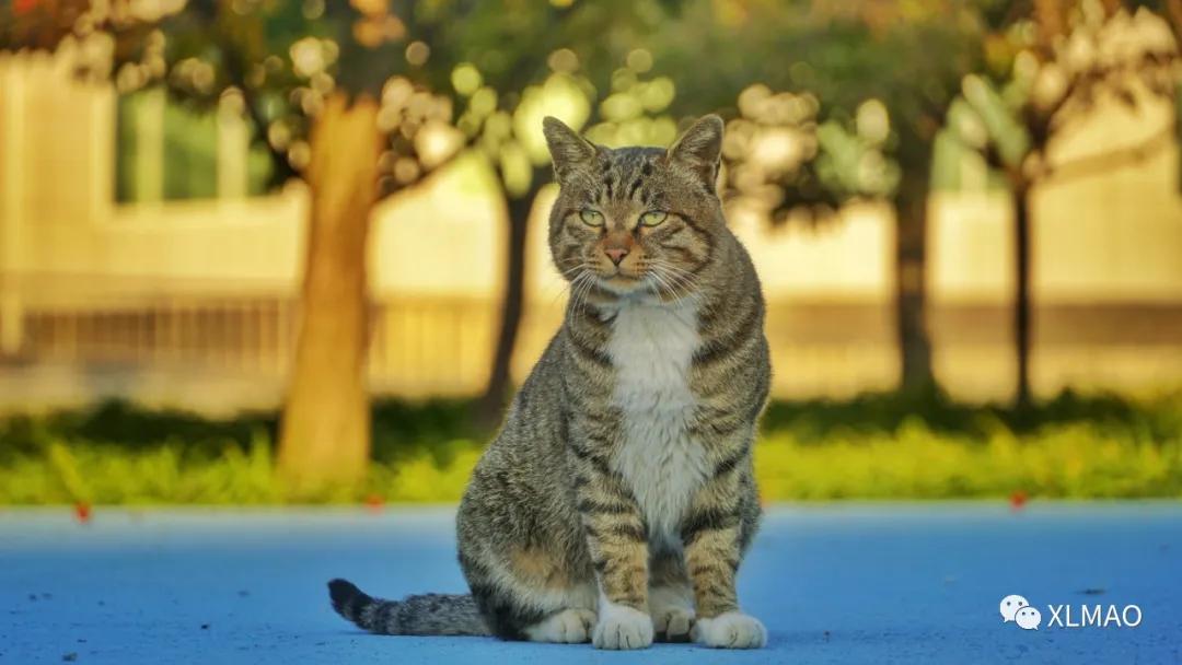 摄影爱好者的拍摄题材,一名业余摄影爱好者的简介