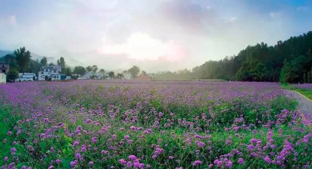 中国最美乡村Top10，有你家乡吗？