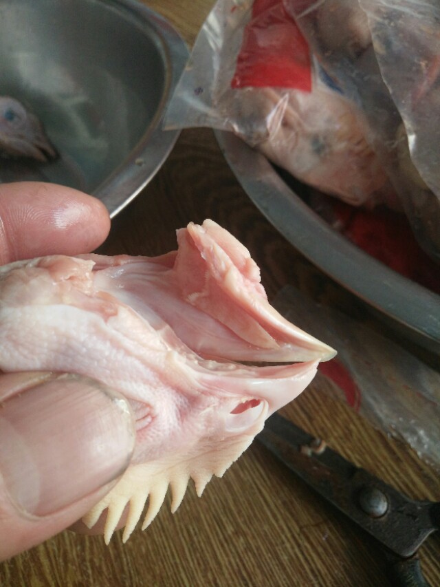 小店的秘密完整版,小吃店的秘密