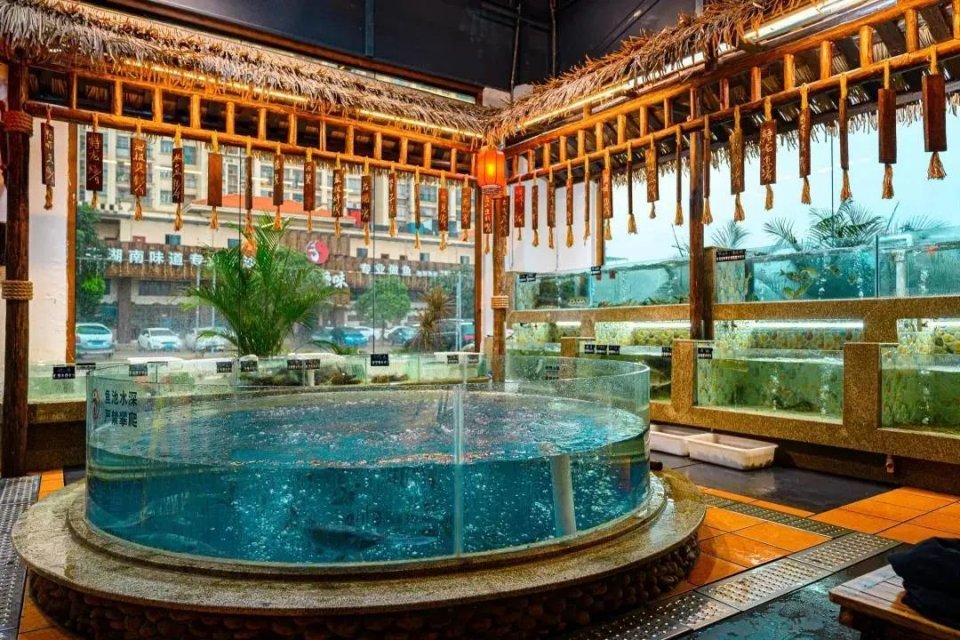 大渔铁板烧里的芝士扇贝,日式铁板烧芝士焗大虾