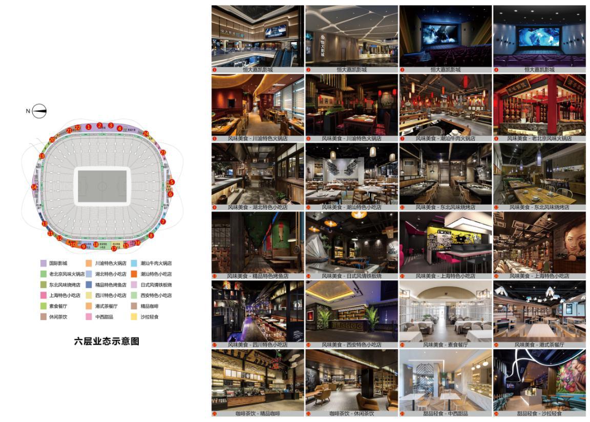 最美荷花盛开,广州恒大新足球场荷花