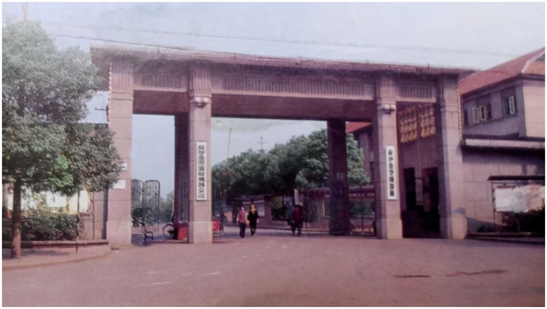 树木岭附近有哪些老工厂,树木岭工厂店