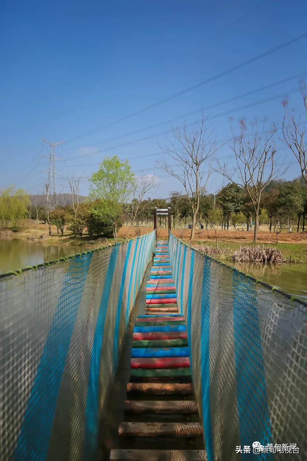 桃之夭夭！来武汉蔡甸世外桃源，许你万株桃花