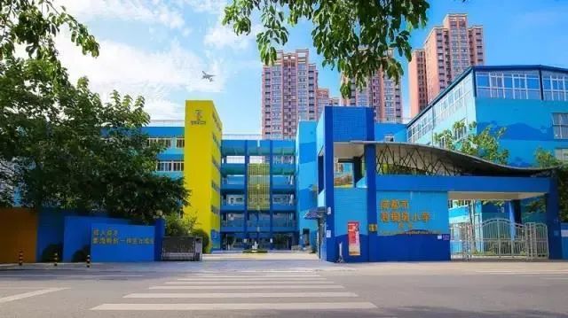 成都泡桐树小学哪个校区最好,泡桐树小学新津校区地理位置