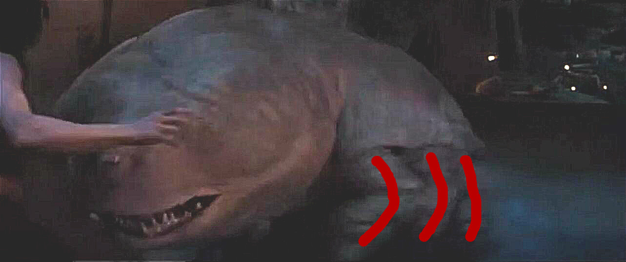 狗狗四个腿各跑各的,外国的狗狗品种