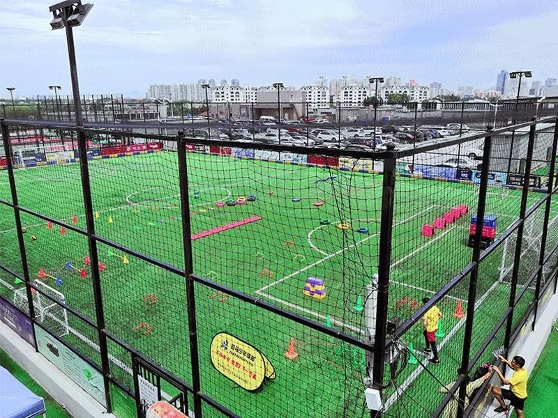 斑马少儿全方位能力成长平台,斑马少儿体能训练