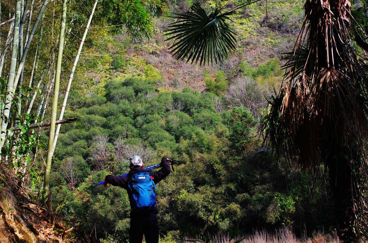 旅游/短线背包怎么选—拓乐ThuleCapstone22L背包体验记