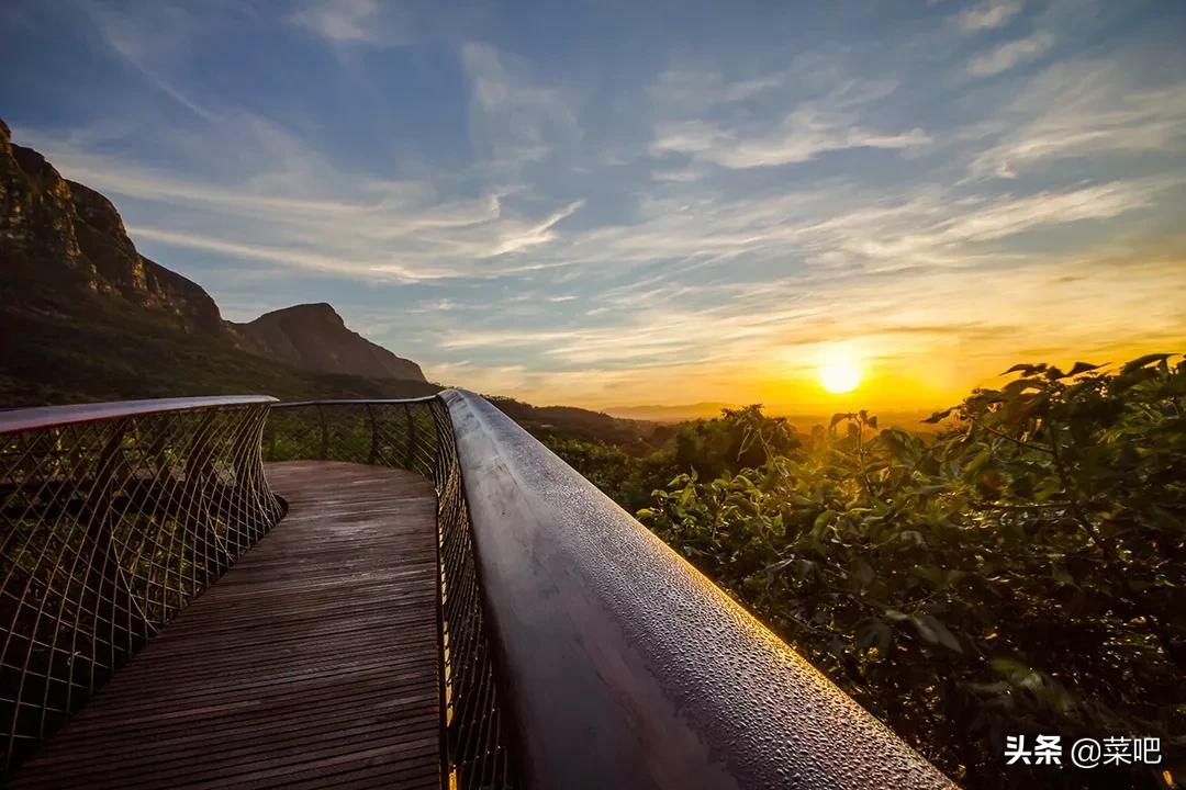 菜吧农庄创意设计,菜吧生态园规划