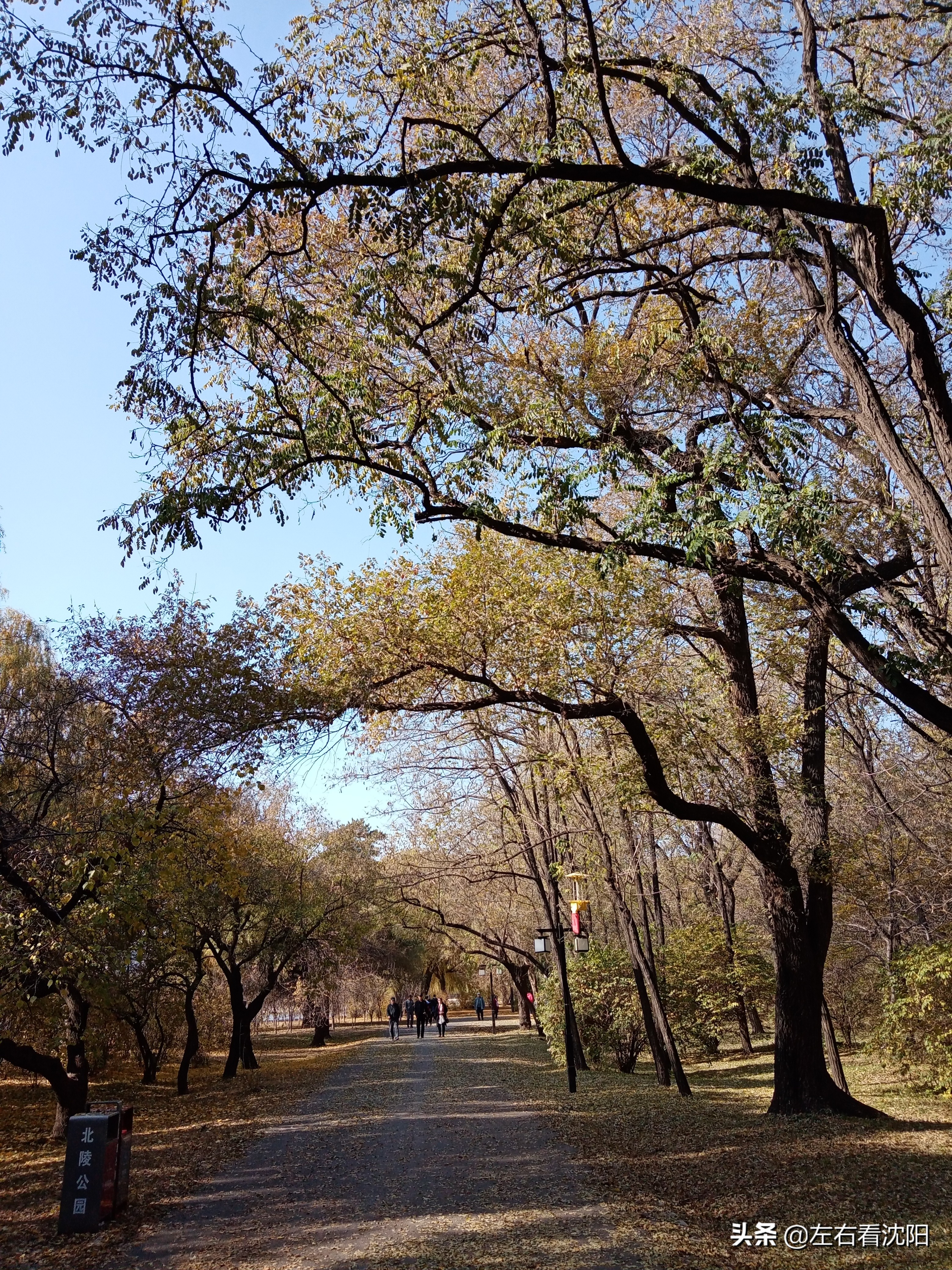 秋季沈阳北陵公园有啥好玩的,漫步沈阳北陵公园湖水边