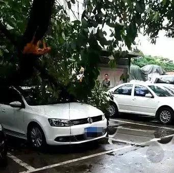 在年岁即将交替的时光里「这一年大岭山都发生了什么大事」