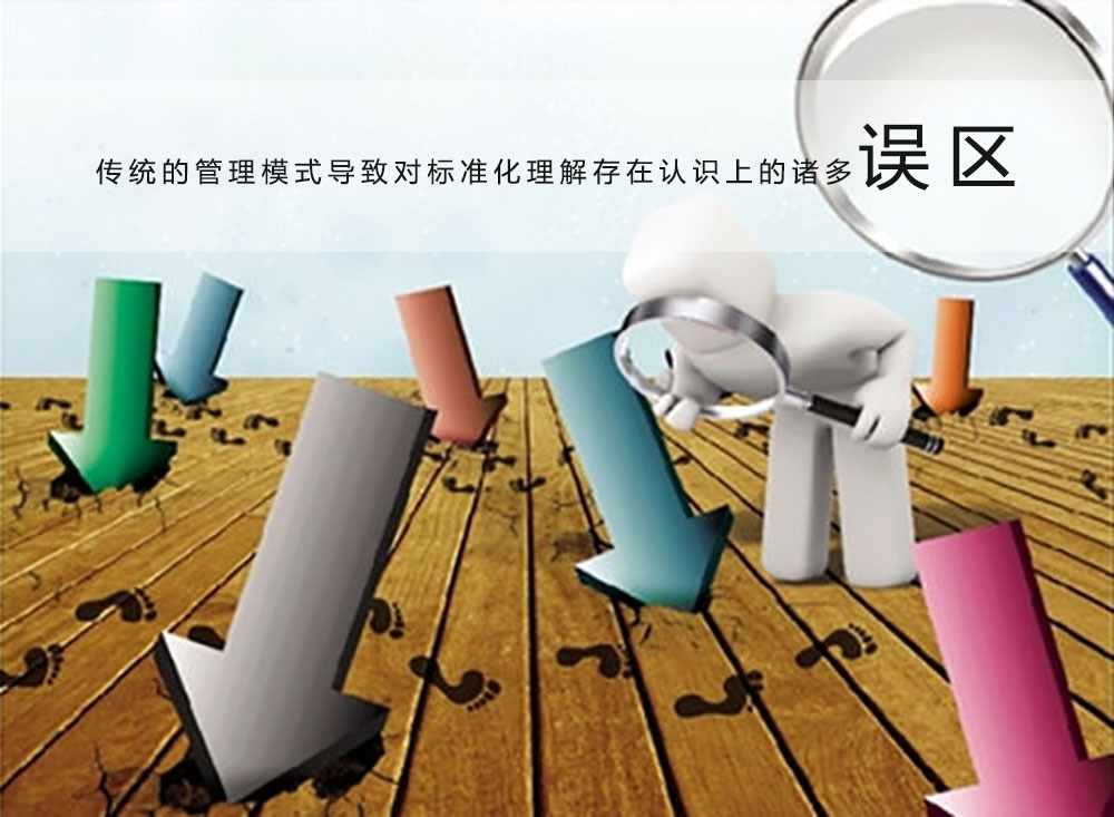 工程项目管理信息化应用模式,项目管理标准化说明