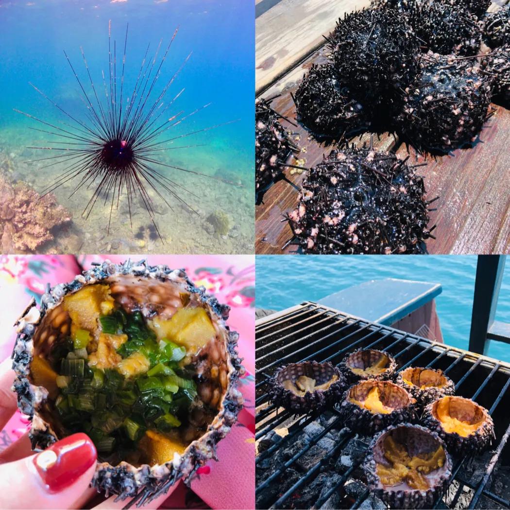 芽庄潜水一般多少米,芽庄深潜和浮潜的区别