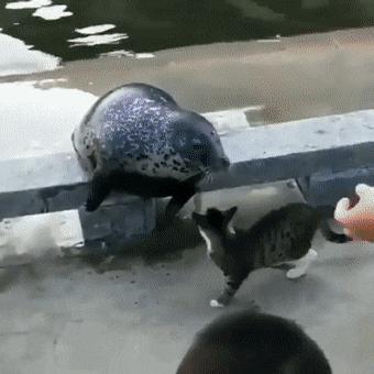 为啥加油站月薪两千还没人辞职,加油站上班工作强度大吗累吗