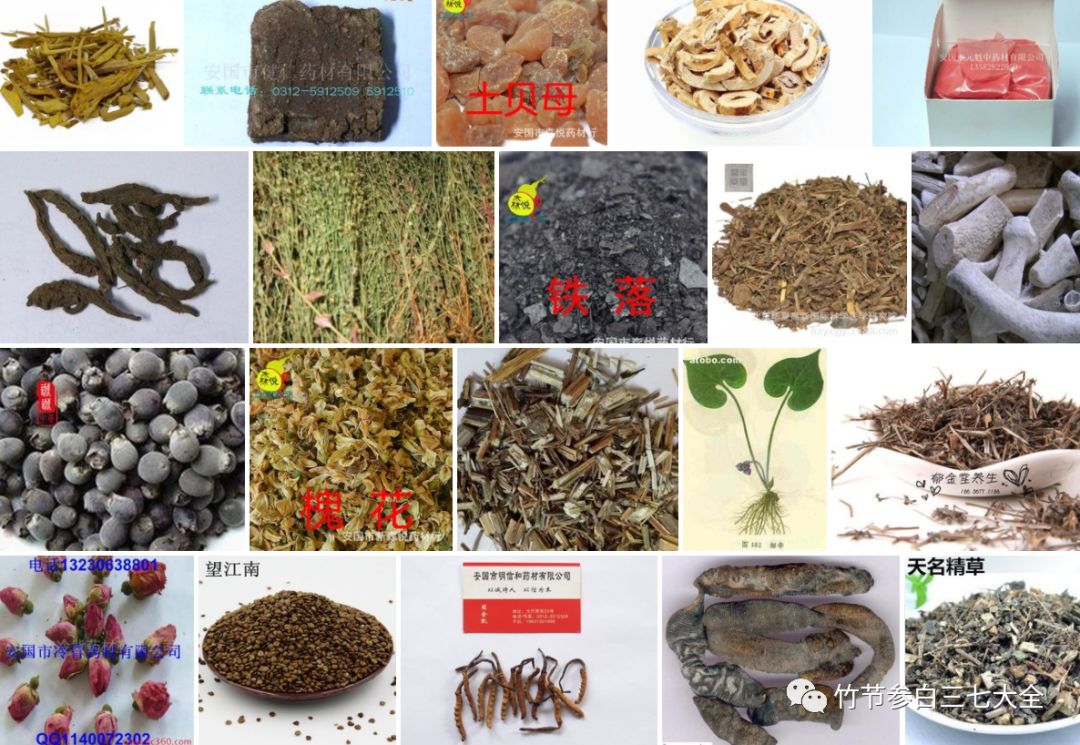 冷背药材大全及价格,冷背药材有多少种