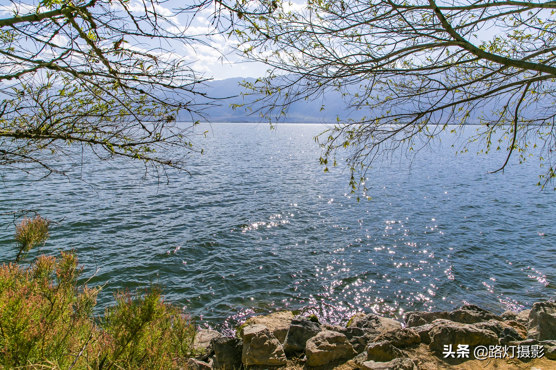五月大理攻略,五月大理旅行