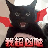 用舌头舔猫会怎样,舔猫头一口会有什么反应