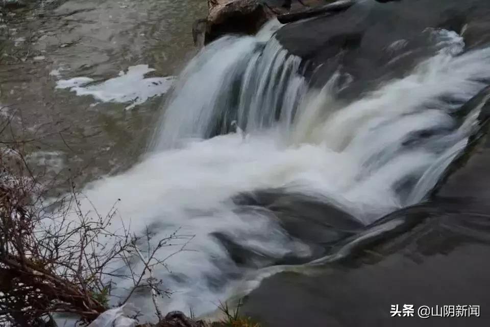 春天里最美的遇见歌曲,春天最美的文案就是油菜花